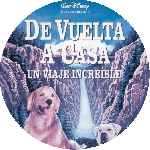 carátula cd de De Vuelta A Casa - Un Viaje Increible - Custom