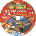 carátula cd de El Maravilloso Mundo De Los Animales - Volumen 12 - Los Ciervos - Custom