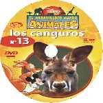 carátula cd de El Maravilloso Mundo De Los Animales - Volumen 13 - Los Canguros - Custom