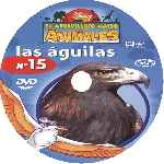 carátula cd de El Maravilloso Mundo De Los Animales - Volumen 15 - Las Aguilas - Custom