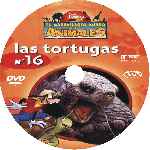 carátula cd de El Maravilloso Mundo De Los Animales - Volumen 16 - Las Tortugas - Custom