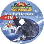 carátula cd de El Maravilloso Mundo De Los Animales - Volumen 18 - Las Ballenas - Custom