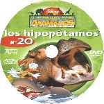 carátula cd de El Maravilloso Mundo De Los Animales - Volumen 20 - Los Hipopotamos - Custo