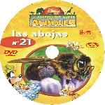 carátula cd de El Maravilloso Mundo De Los Animales - Volumen 21 - Las Abejas - Custom