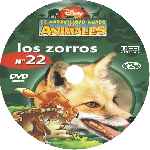carátula cd de El Maravilloso Mundo De Los Animales - Volumen 22 - Los Zorros - Custom