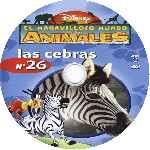 carátula cd de El Maravilloso Mundo De Los Animales - Volumen 26 - Las Cebras - Custom