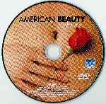 carátula cd de American Beauty