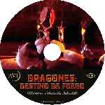carátula cd de Dragones - Destino De Fuego - Custom - V2