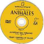 cartula cd de National Geographic - Enciclopedia De Los Animales - Volumen 10