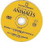 cartula cd de National Geographic - Enciclopedia De Los Animales - Volumen 13