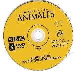 cartula cd de National Geographic - Enciclopedia De Los Animales - Volumen 14