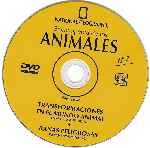 carátula cd de National Geographic - Enciclopedia De Los Animales - Volumen 08