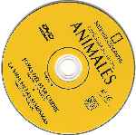 cartula cd de National Geographic - Enciclopedia De Los Animales - Volumen 16