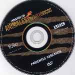 carátula cd de Bbc - Caminando Con Animales Prehistoricos - Parientes Cercanos