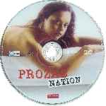 carátula cd de Prozac Nation