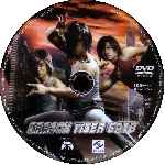 carátula cd de Dragon Tiger Gate