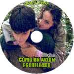 carátula cd de Como Un Avion Estrellado - Custom