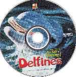 carátula cd de Discovery Channel - La Guia Maxima - Delfines