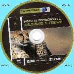 cartula cd de Documentales - Fascinación Por La Naturaleza - Vol. 08