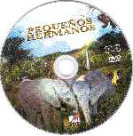 carátula cd de Pequenos Hermanos - Region 1-4