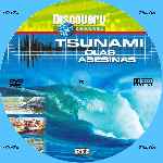 carátula cd de Discovery Channel - Tsunami - Olas Asesinas - Custom