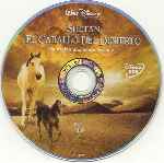 carátula cd de Shetan El Caballo Del Desierto