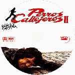 carátula cd de Perros Callejeros 2 - Custom