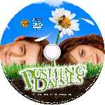 carátula cd de Criando Malvas - Pushing Daisies - Temporada 01 - Custom