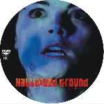 carátula cd de Hallowed Ground - Custom
