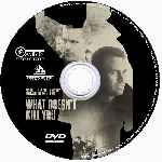 carátula cd de What Doesnt Kill You - Custom