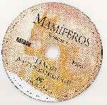 carátula cd de Bbc - Mamiferos - Roedores