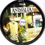 carátula cd de Animalia - Volumen 04 - Region 4