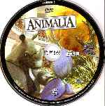 carátula cd de Animalia - Volumen 05 - Region 4