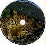 carátula cd de El Planeta Vivo - El Reino Animal 01