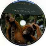 carátula cd de El Planeta Vivo - El Reino Animal 02