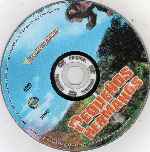 carátula cd de Pequenos Hermanos - Region 4