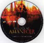 carátula cd de Miedo Al Amanecer - Region 4