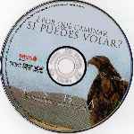 carátula cd de Porque Caminar Si Puedes Volar - Region 4