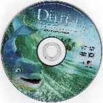 carátula cd de El Delfin - La Historia De Un Sonador - Region 1-4 - V2