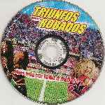 carátula cd de Triunfos Robados - Region 4