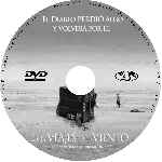 carátula cd de Los Viajes Del Viento - Custom
