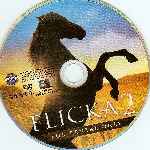carátula cd de Flicka 2 - Region 1 - Alquiler