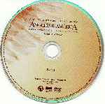 carátula cd de Angeles En America
