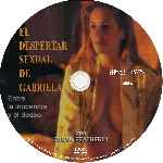 carátula cd de El Despertar Sexual De Gabriela - Custom
