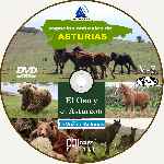 carátula cd de Espacios Naturales De Asturias - 07 - El Oso Y El Asturcon - Custom