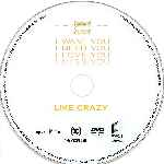 carátula cd de Like Crazy - Custom