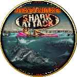 carátula cd de Shark Attack - Custom