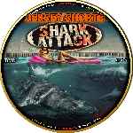 cartula cd de Shark Attack - Custom