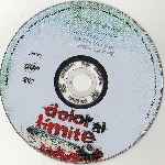 carátula cd de Dolor Al Limite - Region 4