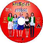 carátula cd de Damiselas En Apuros - Custom 